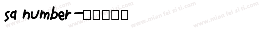 sa number字体转换